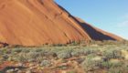 Options Paper Will Explore Improvements To Native Title System